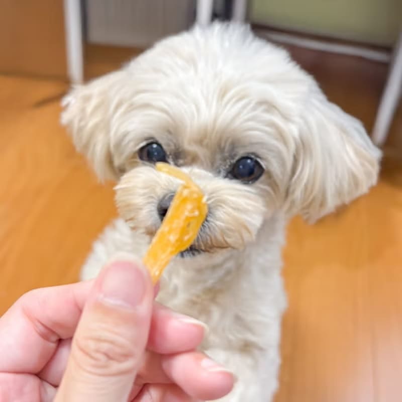 週末セール：【国産 無添加】紅はるかのおいもスティック 80g