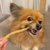 週末セール：【国産 無添加】紅はるかのおいもスティック 80g