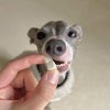 週末セール：【国産 無添加】フリーズドライ 北海道ポテト 30g