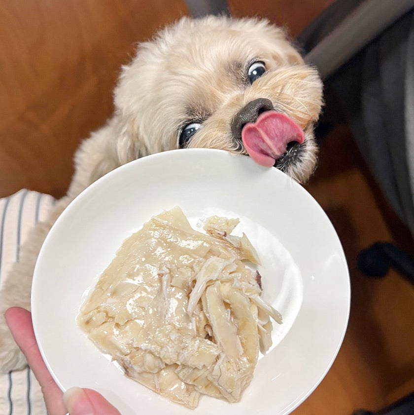 愛媛産 真鯛の骨までホロホロレトルト