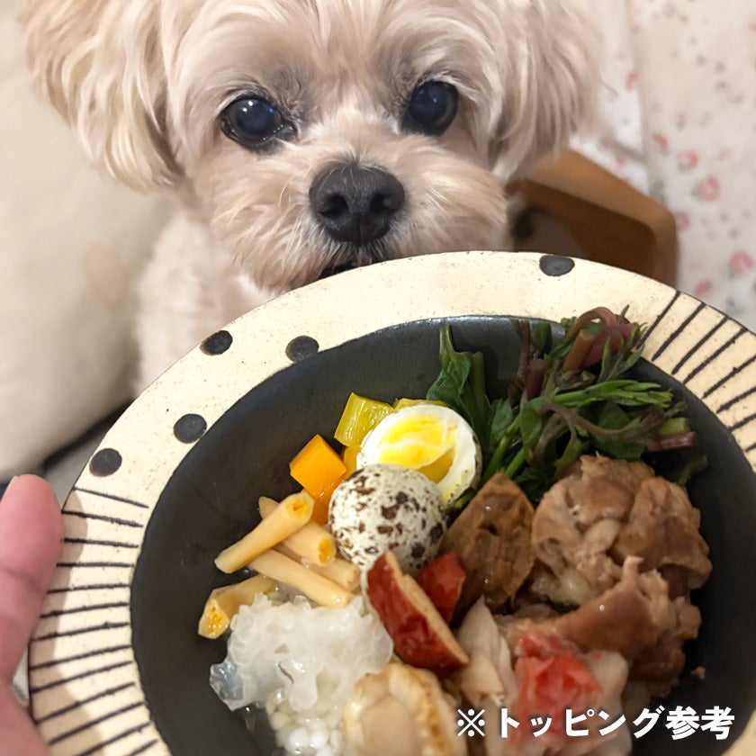 【無添加】スマイル薬膳 金針菜 20g