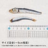 長崎産 うるめ煮干し