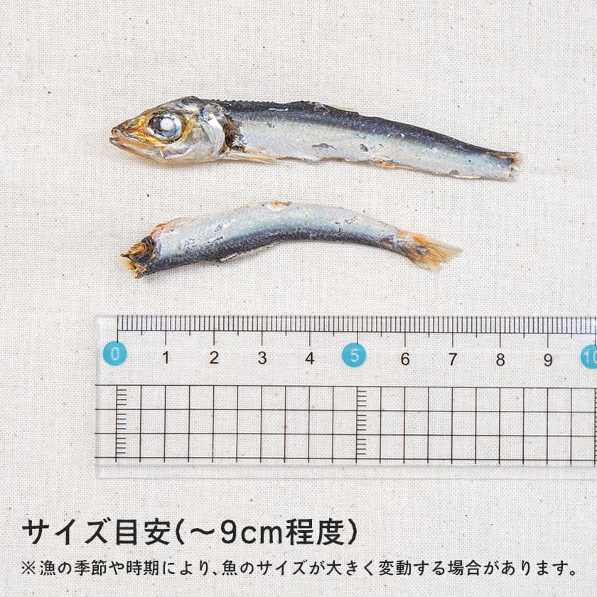 長崎産 うるめ煮干し