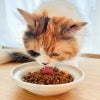 週末セール：【無添加 国産】鮭のふりかけ 50g