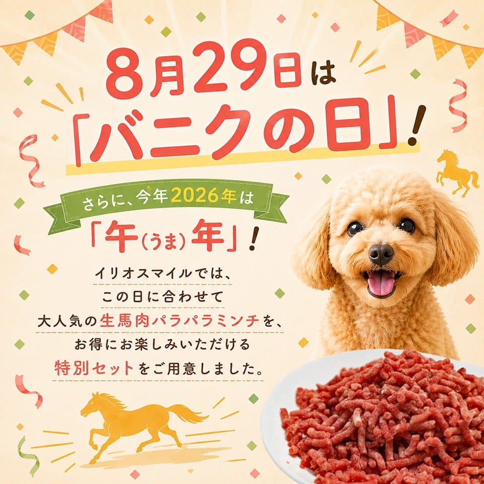 生馬肉パラパラミンチ 300g×10袋セット