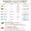 【Sunday Pets サンデーペッツ】ジェントルベイク キングサーモンウィズトライプ 1.3kg